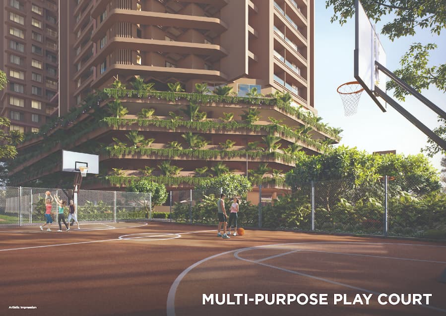 Multi-Purpose Play Court